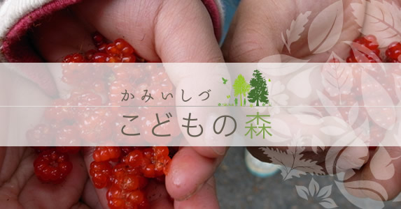 岐阜・大垣市の幼保連携型認定こども園、かみいしづこどもの森の写真(岐阜県大垣市)