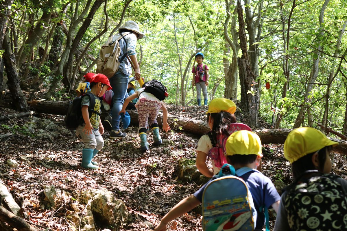 ムッレの森へ至る山道