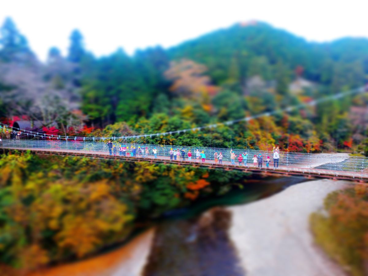 紅葉の多良峡に架かる吊り橋