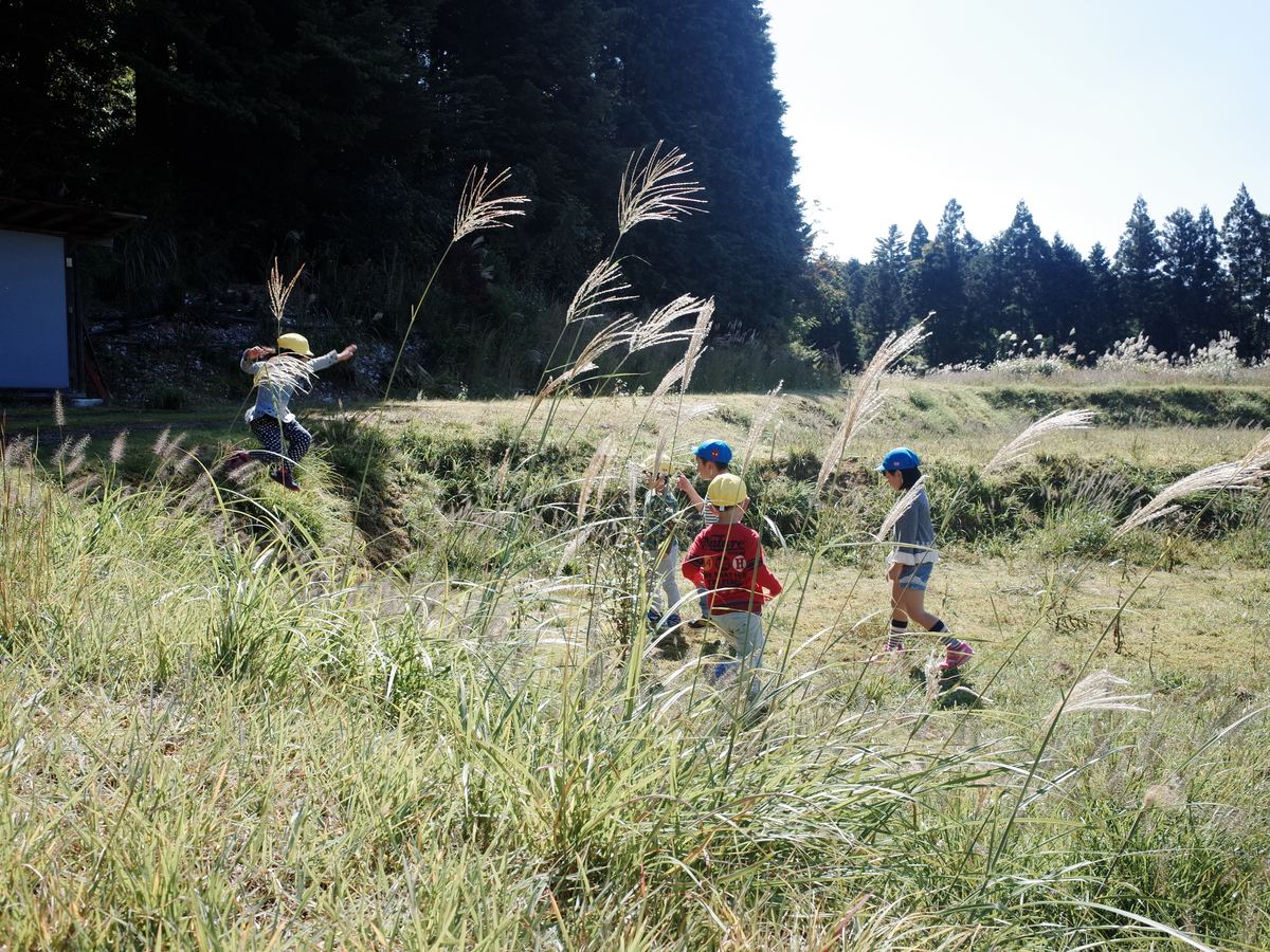 ススキ野原で遊ぶこどもたち